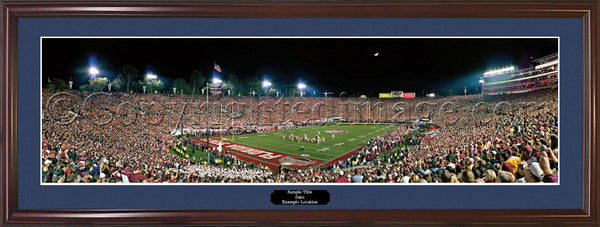 FL-357 Seminoles 2013 National Champions