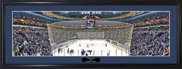 MO-378 St. Louis Blues