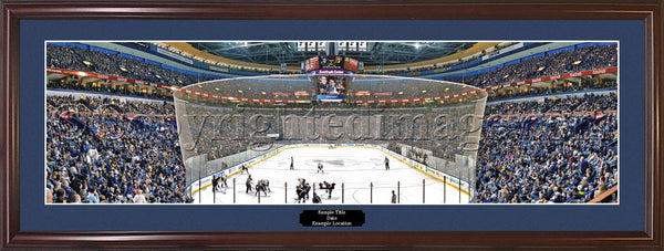 MO-378 St. Louis Blues