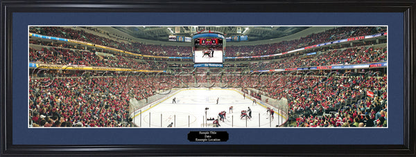 DC-379 Washington Capitals