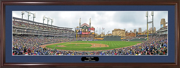 MI-38 Detroit Tigers First Pitch at Comerica Park