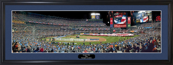 NY-393 2015 World Series Game 3