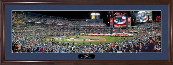 NY-393 2015 World Series Game 3