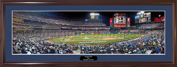 NY-394 2015 World Series Game 3