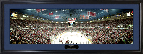 MI-40 Red Wings Face Off