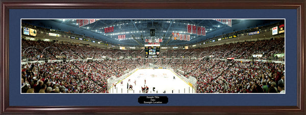 MI-40 Red Wings Face Off