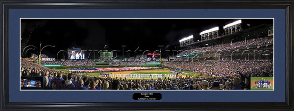 IL-415 Chicago Cubs 2016 World Series Champions