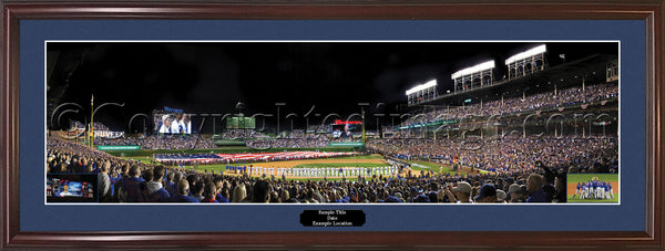 IL-415 Chicago Cubs 2016 World Series Champions