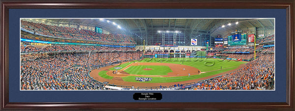 TX-420 Astros 2017 World Series Game 3