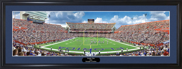 FL-43 Florida Gators - The Swamp