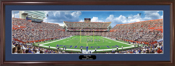 FL-43 Florida Gators - The Swamp