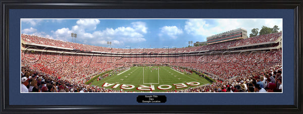 GA-50 Georgia Bulldogs Endzone
