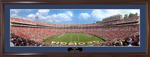 GA-50 Georgia Bulldogs Endzone