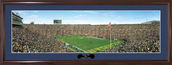 MI-63 Wolverines The Big House