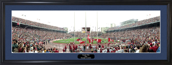 OH-81 Buckeyes The Horseshoe