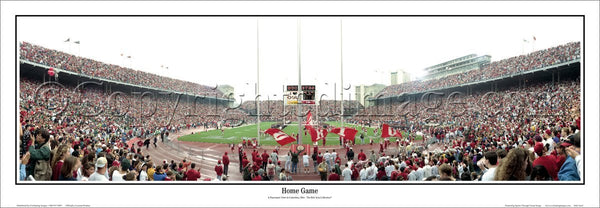 OH-81 Buckeyes The Horseshoe