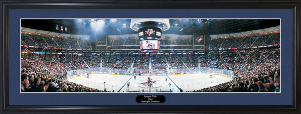 AZ-86b Coyotes - Inaugural Game