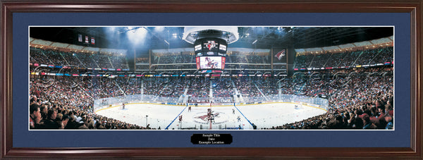 AZ-86b Coyotes - Inaugural Game