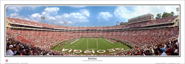 GA-50 Georgia Bulldogs Endzone