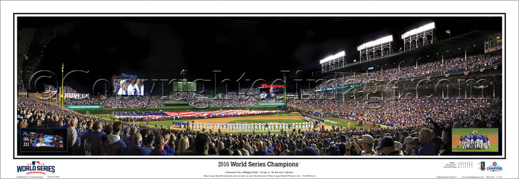 Chicago Cubs 2016 MLB World Series Champions Black Framed