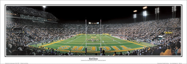 LA-59 LSU Tigers