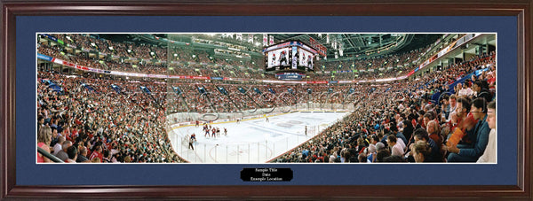 MON-355 Montreal Canadiens