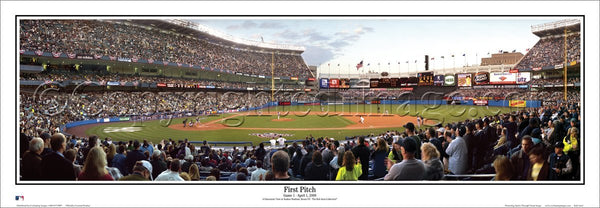 NY-228 New York Yankees