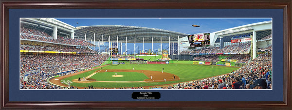 FL-x135 Miami Marlins