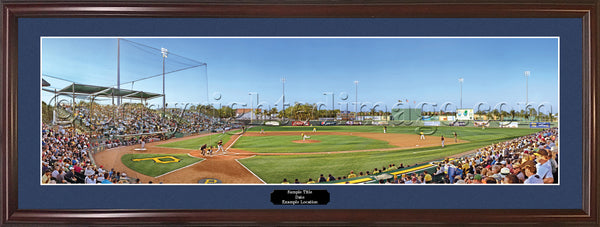 PA-x140 Pittsburgh Pirates - Spring Training