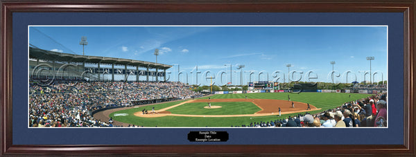 NY-x18 New York Yankees - Billy Crystal