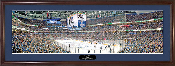 IL-x212 Blackhawks 2015 Stanley Cup