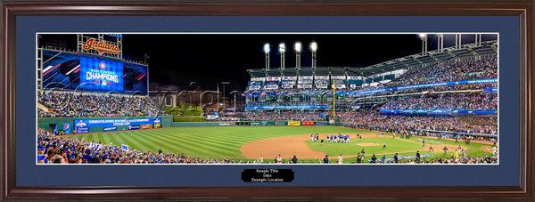 IL-x230 Cubs 2016 World Series