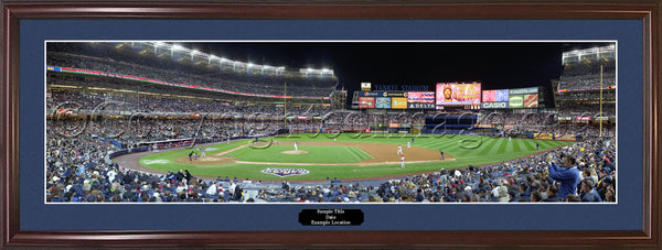 NY-x79 New York Yankees - First Pitch