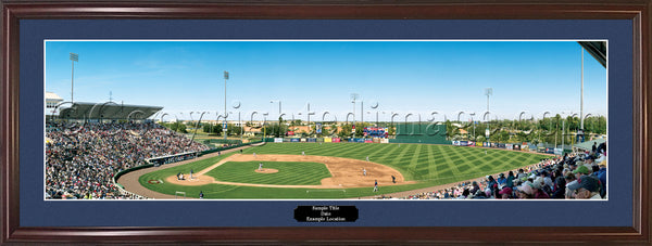 MN-x88 Minnesota Twins - Spring Training Day