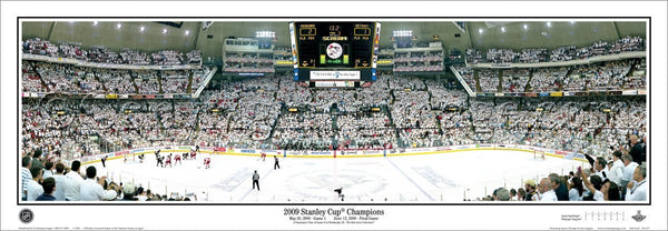 PA-257 Penguins 2009 Stanley Cup Champions