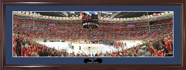 IL-383 Chicago Blackhawks 2015 Stanley Cup Celebration