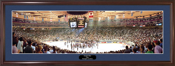 NY-70 Rangers Victory on Ice 1994