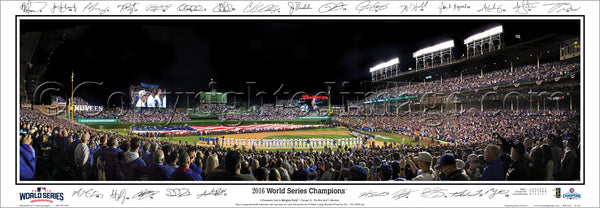IL-412A Chicago Cubs - 2016 World Series Champions