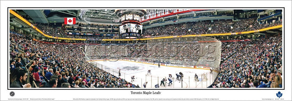 TOR-341 Toronto Maple Leafs